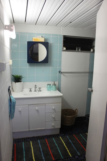 Private bathroom, toilet and shower.