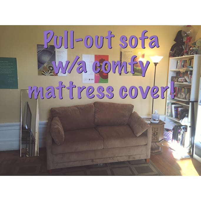 Sleeper sofa that sleeps one comfortably. Perfect for a teen or tween who stays up later than younger kids in the other room