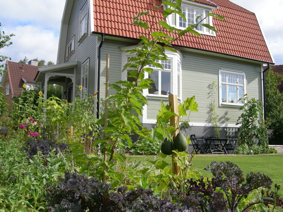 The garden.