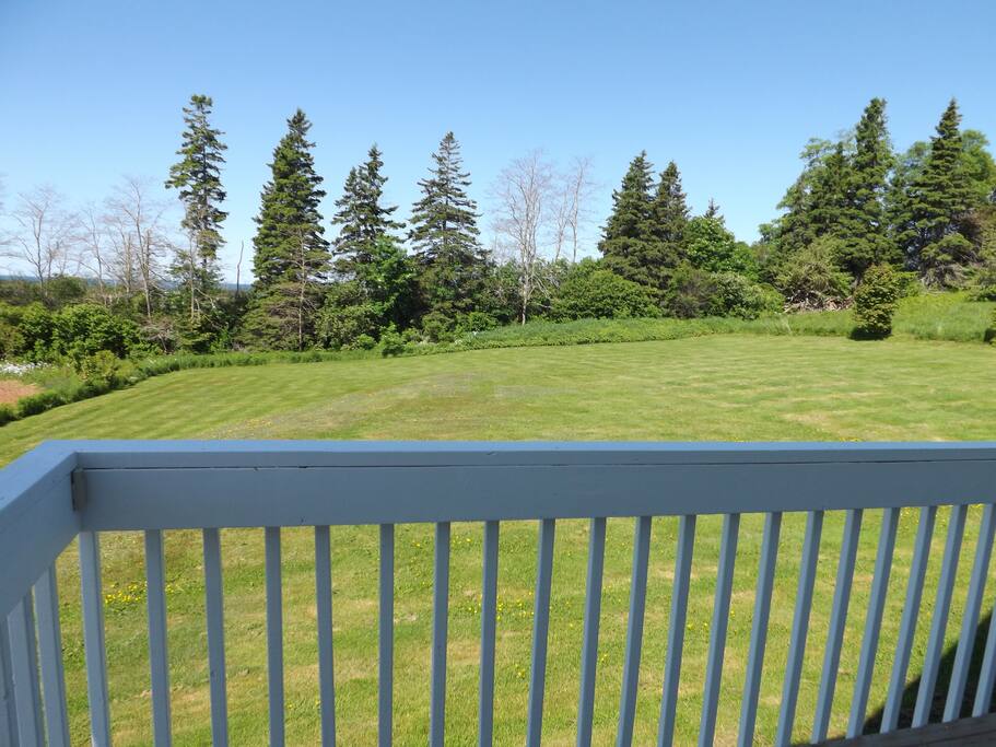 Back Deck View