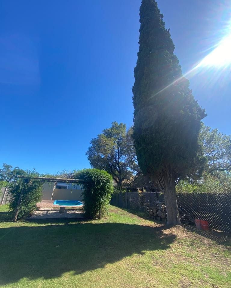 A spacious yard is depicted, featuring a private pool surrounded by greenery. A tall cypress tree stands prominently, providing shade. In the background, a partially visible building contains outdoor lounging space, offering a serene environment suitable for relaxation.