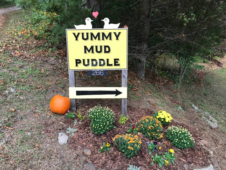 You have arrived at the Yummy Mud Puddle!