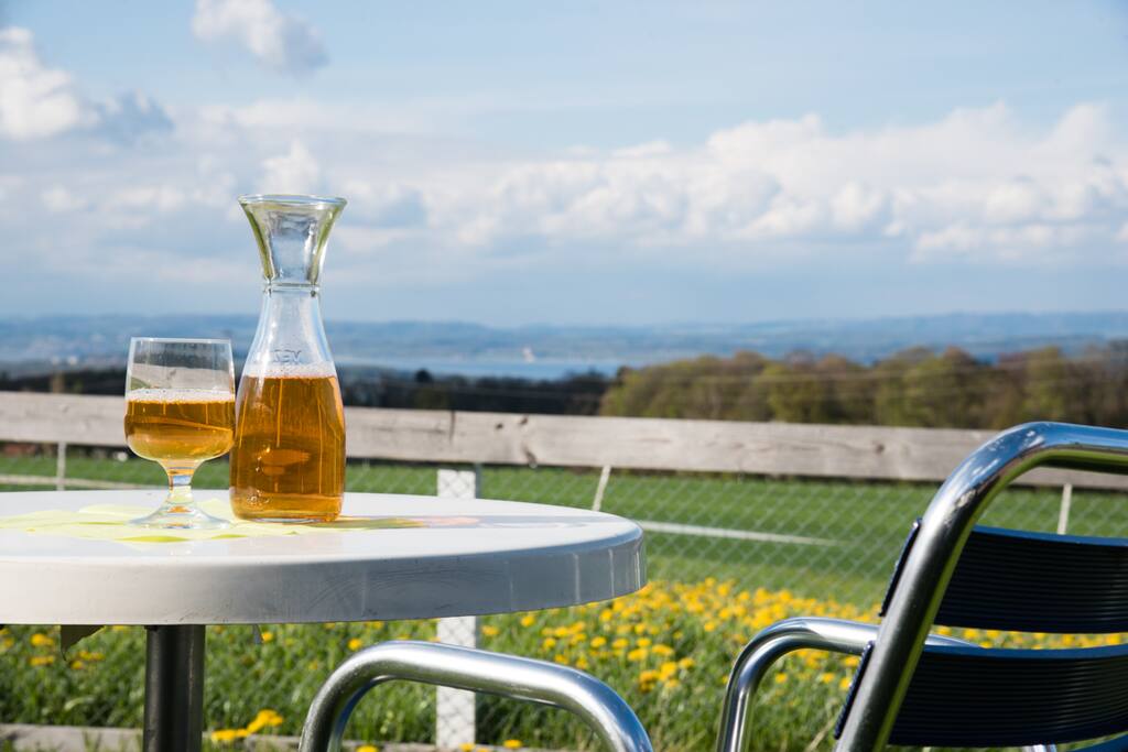 Ausblick Garten