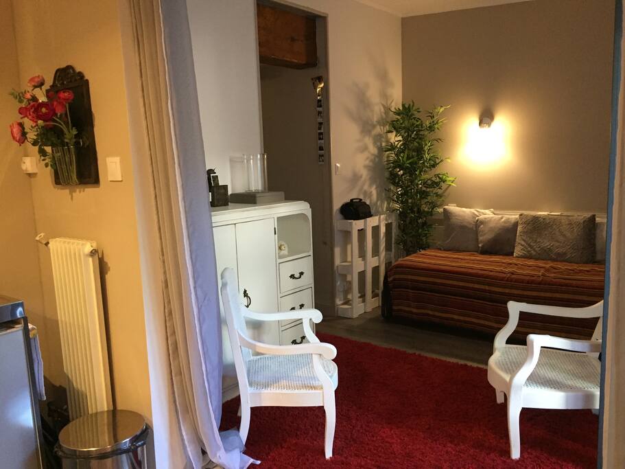 Salon chambre (2 lits 90)