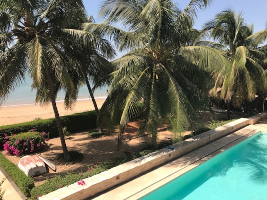 Terrain de pétanque sous les cocotiers