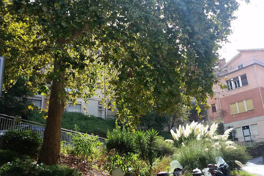 Il quartiere
