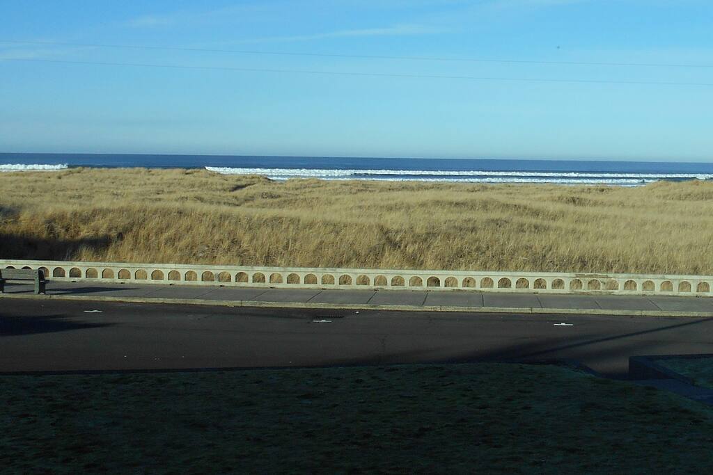 View from Sun Room/Dining Room