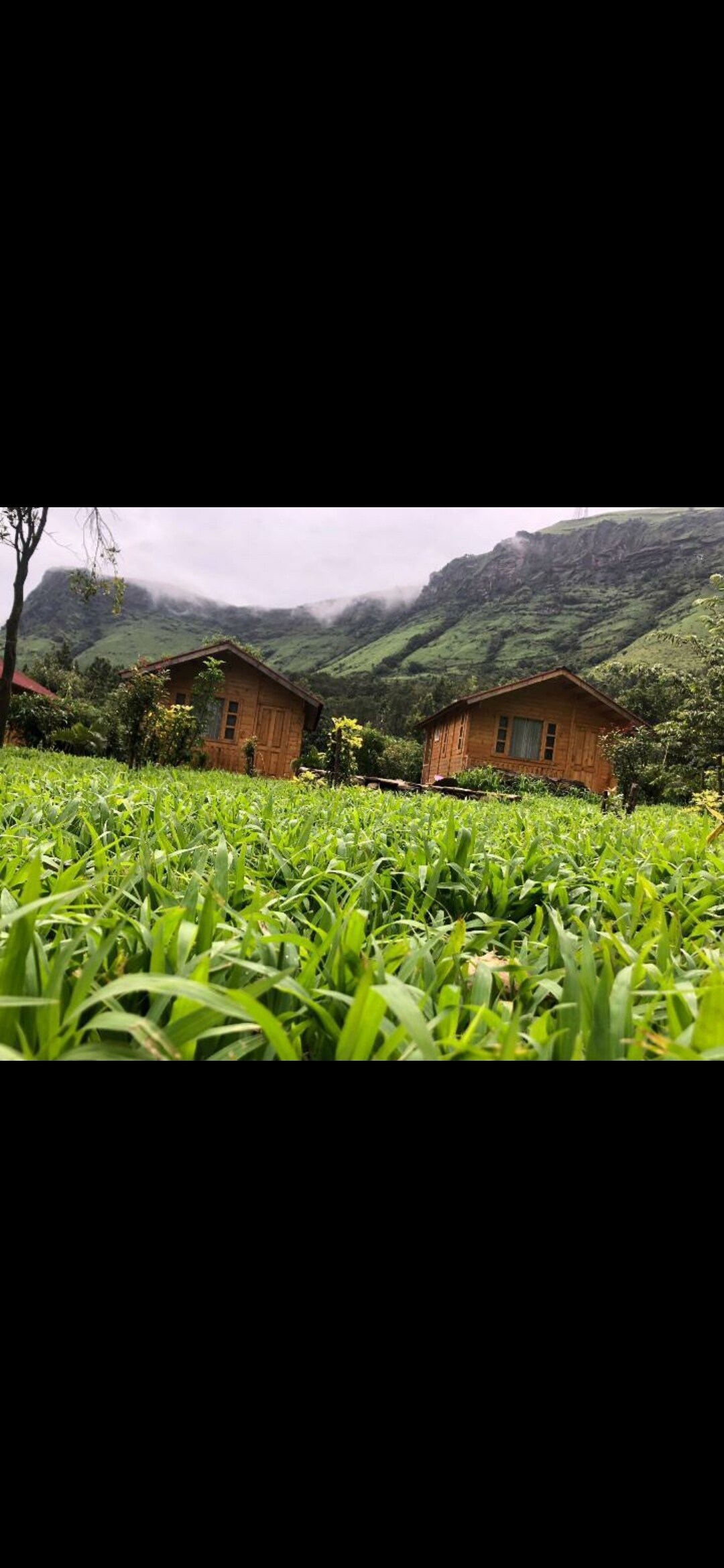Two cozy wooden cottages are nestled amidst lush green grass, surrounded by the rolling hills of a serene landscape. The cottages are framed by distant misty mountains, creating a harmonious blend of nature and comfort.