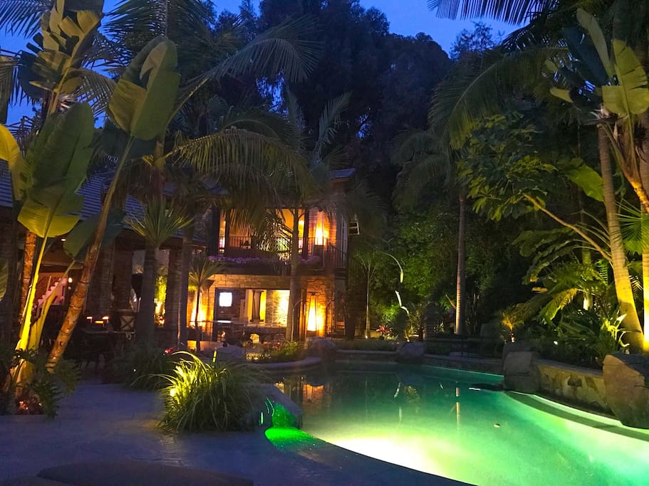 Backyard from chase lounge chair perspective