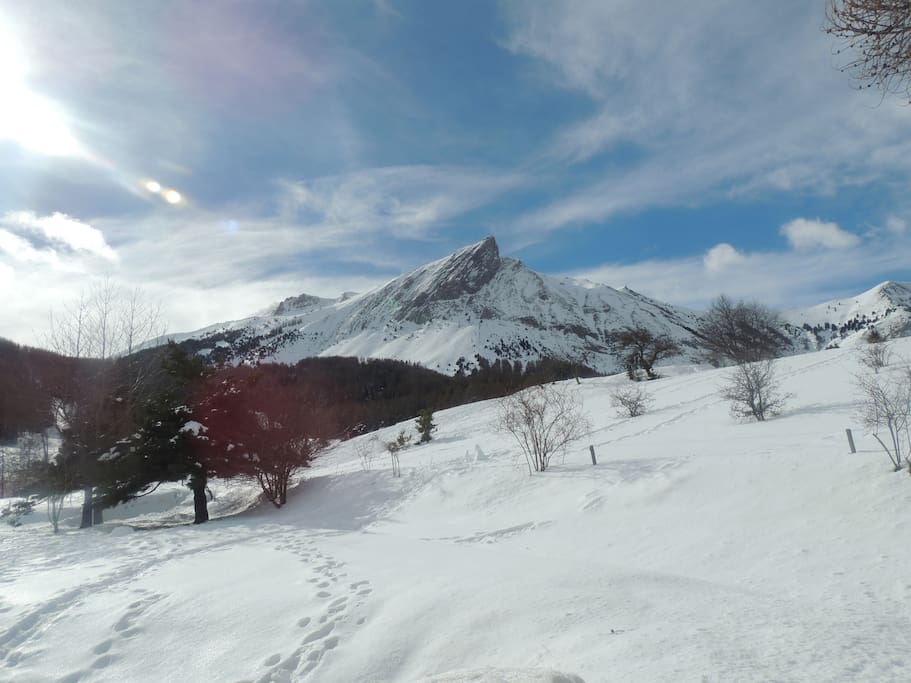 La vue en hiver depuis la porte d'entrée de l'appartement.