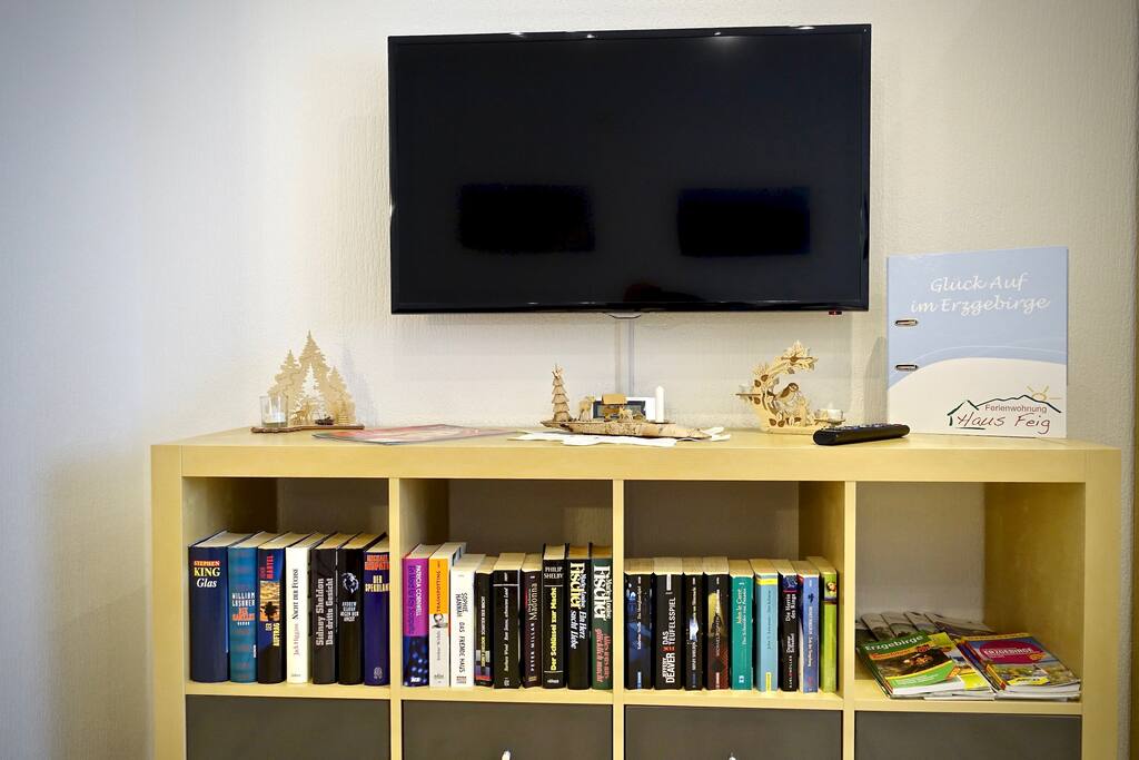 TV und Bücher