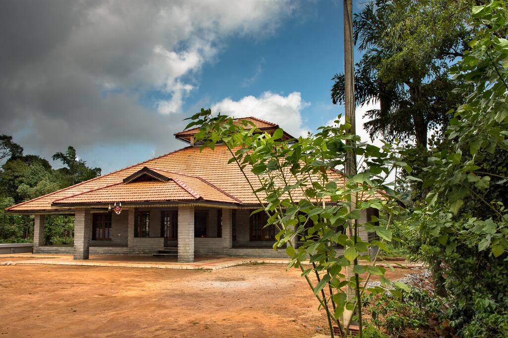 Front View