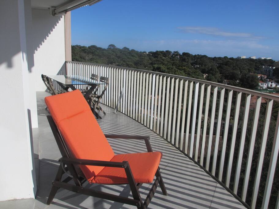 Grande terrasse plein sud vue pins et mer