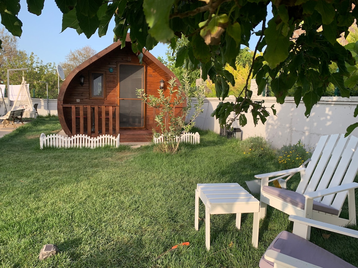 A charming wooden cabin is set amidst a well-maintained lawn, surrounded by lush greenery. Two white outdoor chairs are positioned nearby, alongside a small table. A white picket fence borders the area, adding a quaint touch to the scene.