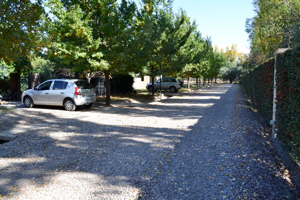 A gravel driveway lined with trees creates a peaceful environment. Two cars are parked along the side of the lane, surrounded by a landscape of greenery and autumnal leaves. The area is well-maintained, providing a serene setting for guests.