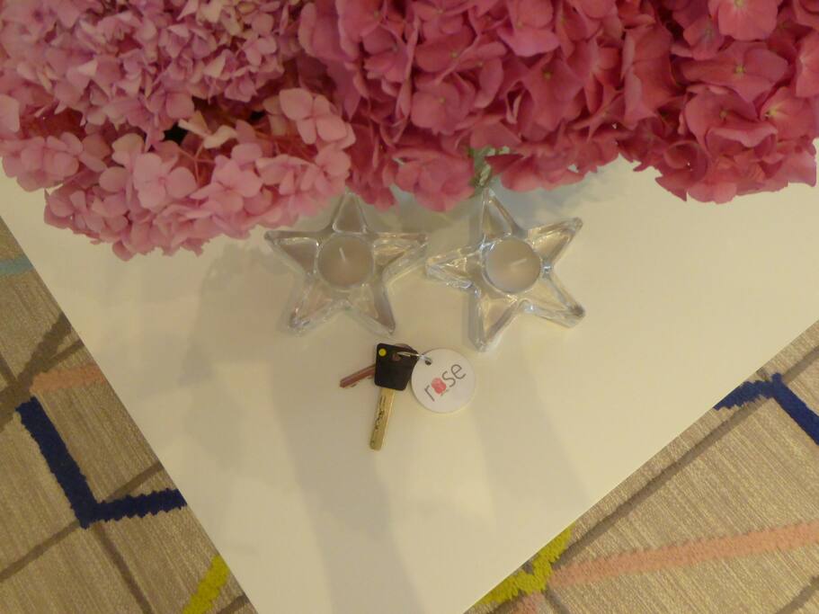 Keys / logo - Rose