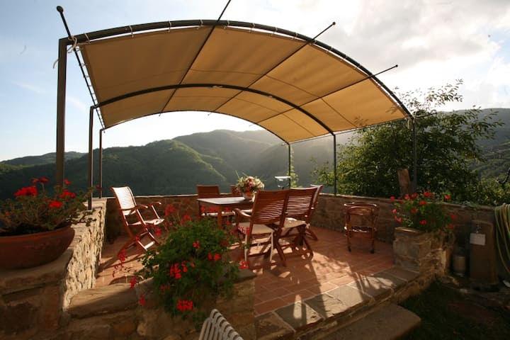 Uliveto: view on Tuscany hills among olive trees