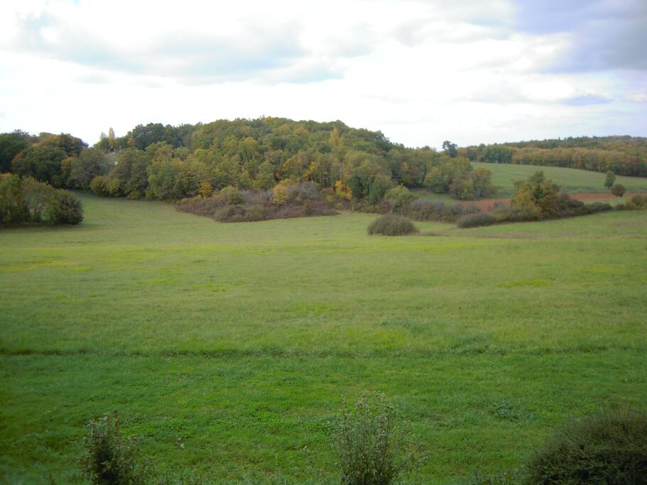 Vue de la terrasse arrière. Ni maison, ni route à l'horizon