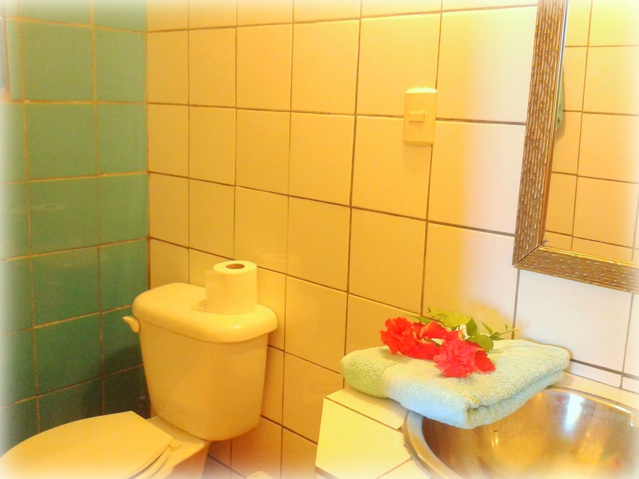 Bathroom of the dorm with shower, sink and toilet.