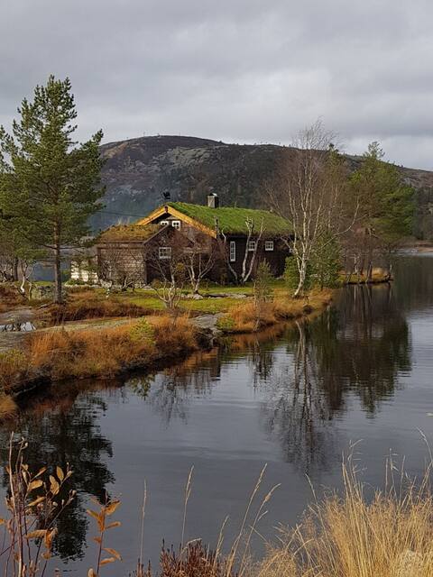 602. Cottage by fishing waters.  Bathing possibilities. Dog ok