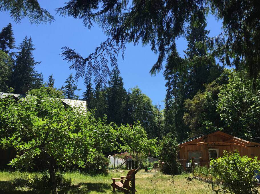 The cottage is situated on a lush hobby farm and acreage.