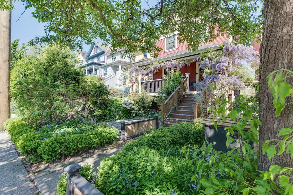 Lush green garden out your front window