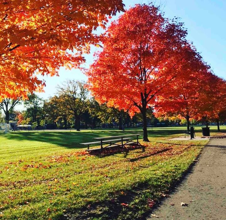 10 Best Airbnb Vacation Rentals In Ferndale, Michigan Updated 2024