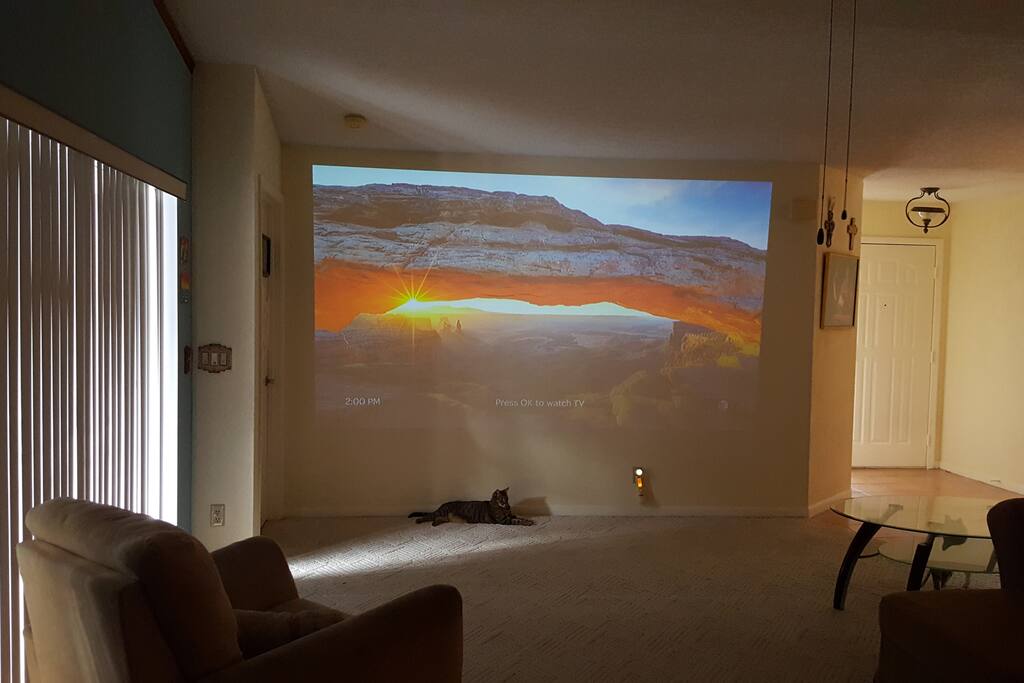 Full wall projector TV