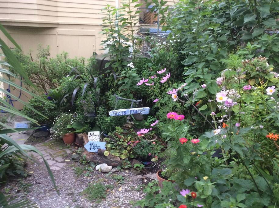 The path thru the garden to the kitchen lounge and bathroom.