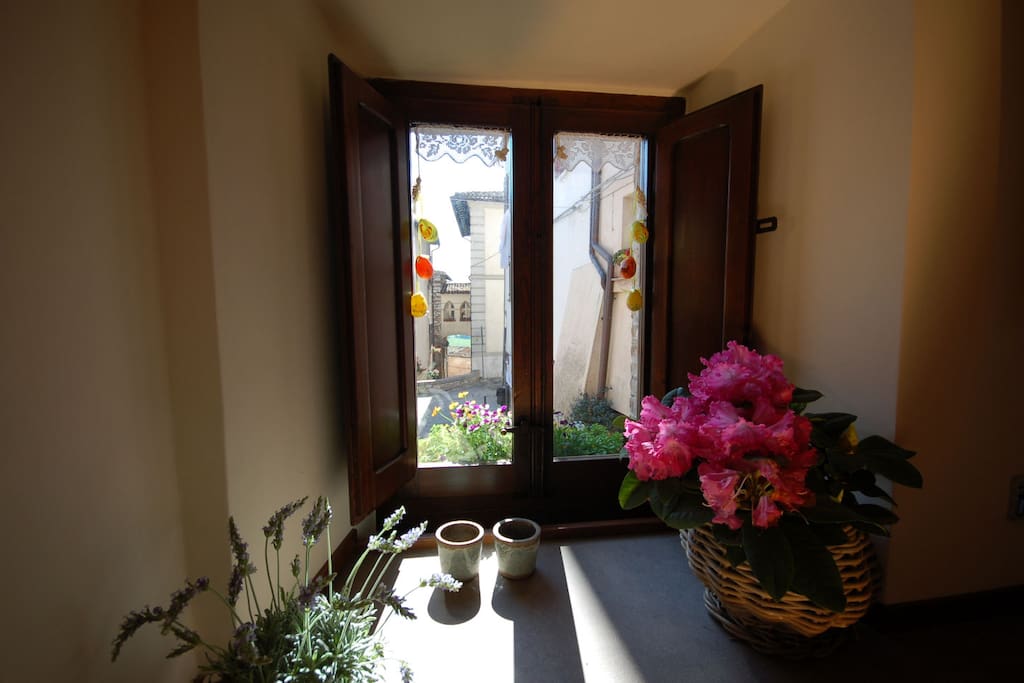 Kitchen window