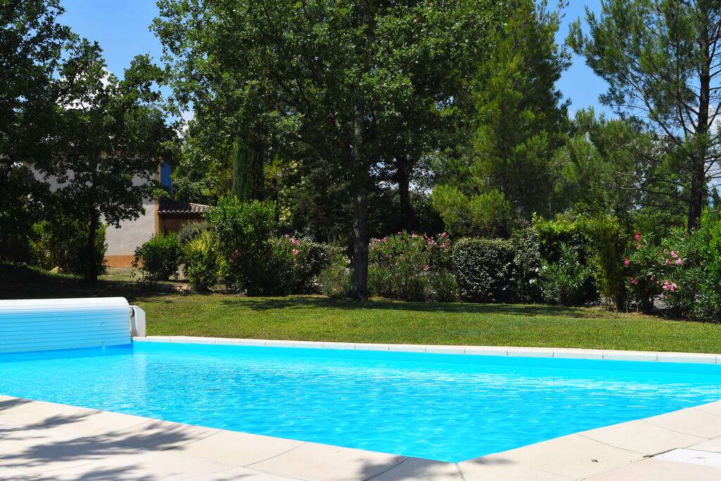 Swimming Pool / Garden