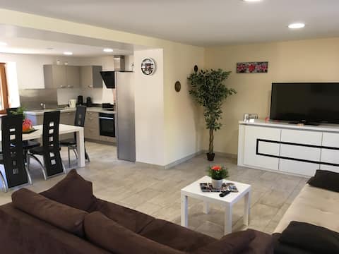 Private house, center of Alsace, pool + garden