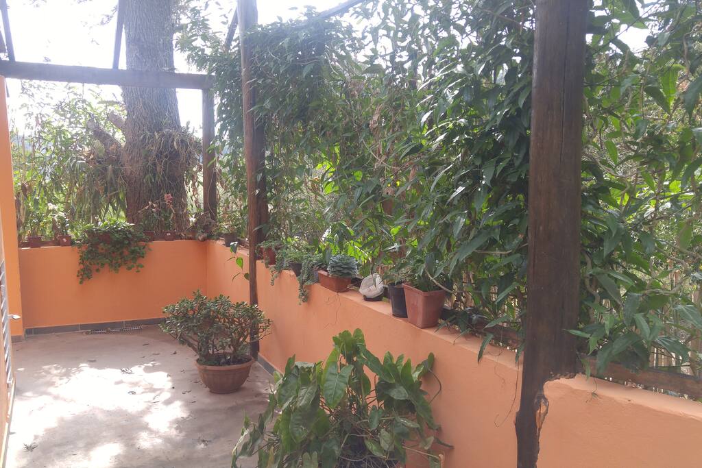 Área
