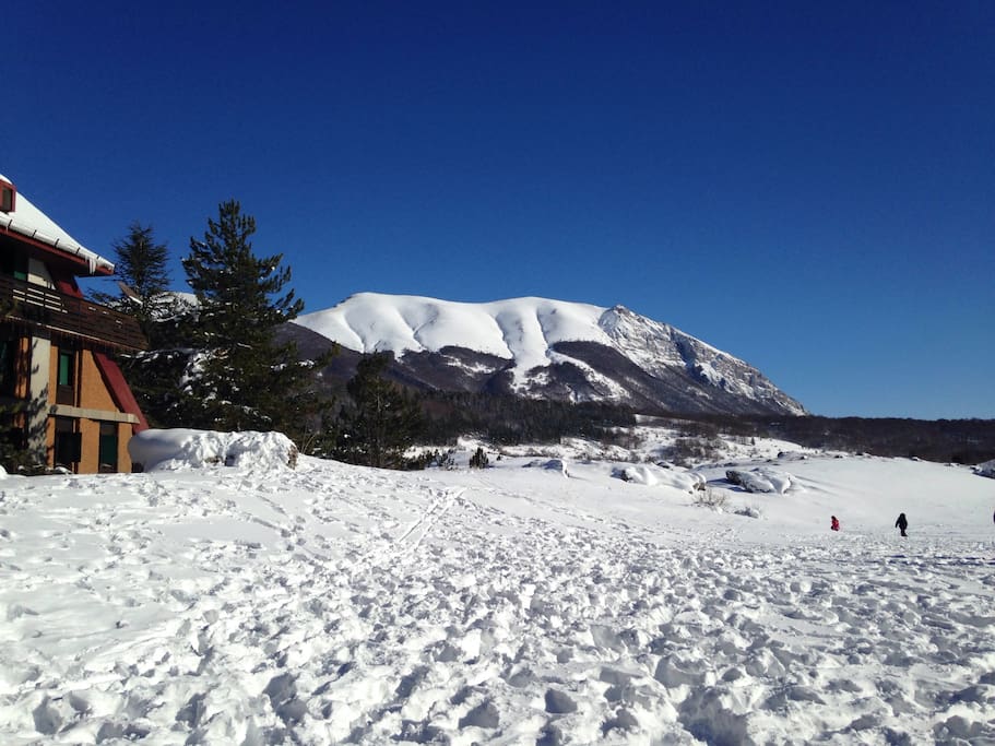 Paesaggio innevato