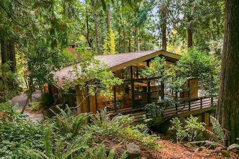 House in the Woods (Whole House)