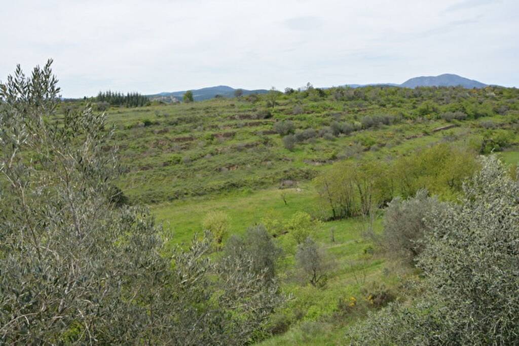 Vue de la grande terrasse