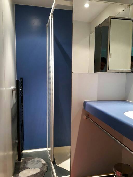 Salle de bain avec douche et miroir. Chauffage dans la salle de bain. WC séparé.