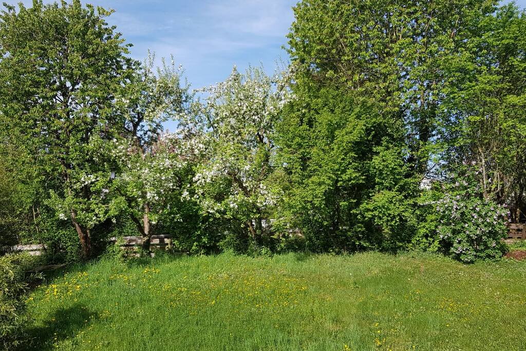 Wunderschöner idyllischer Garten
