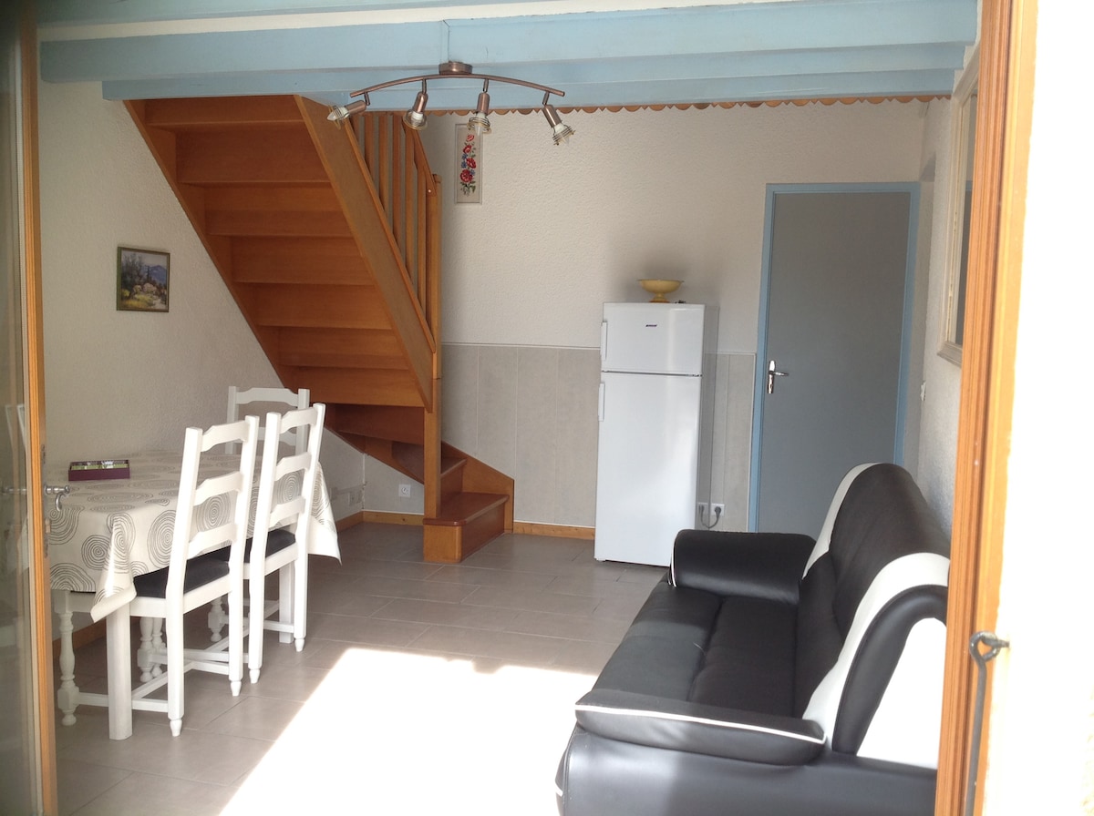 Airbnb performant: Nice villa, comfort, quiet, air conditioning, garage, garden à Saint Cyprien