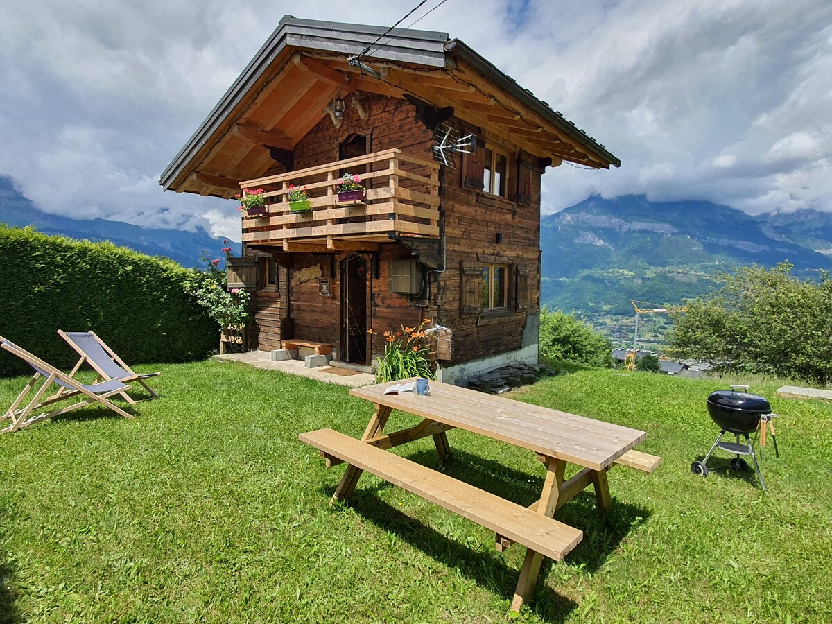 A charming wooden chalet is surrounded by lush greenery, with a spacious lawn in front. A picnic table is placed on the grass, and a grill stands nearby. The balcony features flower boxes, while mountains are visible in the background under a partly cloudy sky.