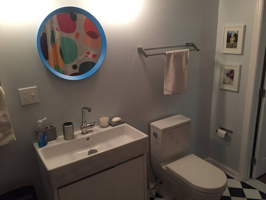 The bathroom is recently renovated.