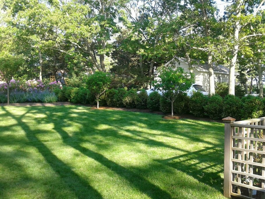 Front yard