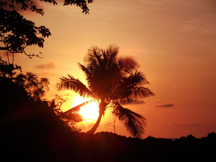 Spectacular Sunsets!