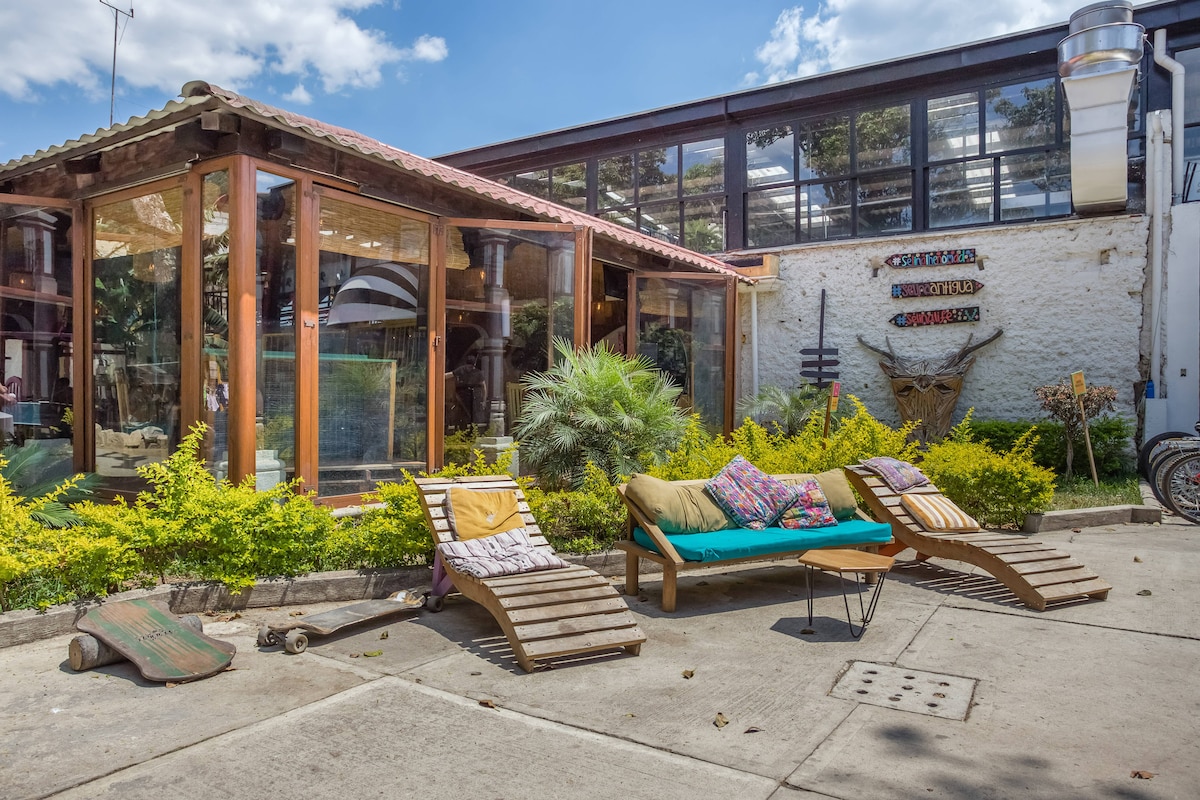 An inviting outdoor space is presented with several loungers arranged on a concrete surface. Tropical plants surround the area, while a glass structure with wooden framing adds a rustic charm. Colorful cushions create a welcoming seating area, ideal for relaxation.