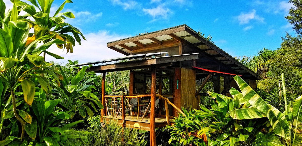 A wooden cottage is nestled among lush tropical greenery, featuring a raised deck with a railing. The roof is partially covered, and the structure showcases a large window allowing natural light inside. Blue skies with scattered clouds create a serene backdrop.