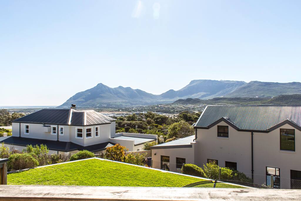 Panoramic view