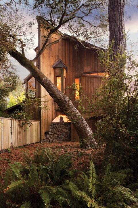 Van der Ryn  Eco-Refuge: Architecture in Nature