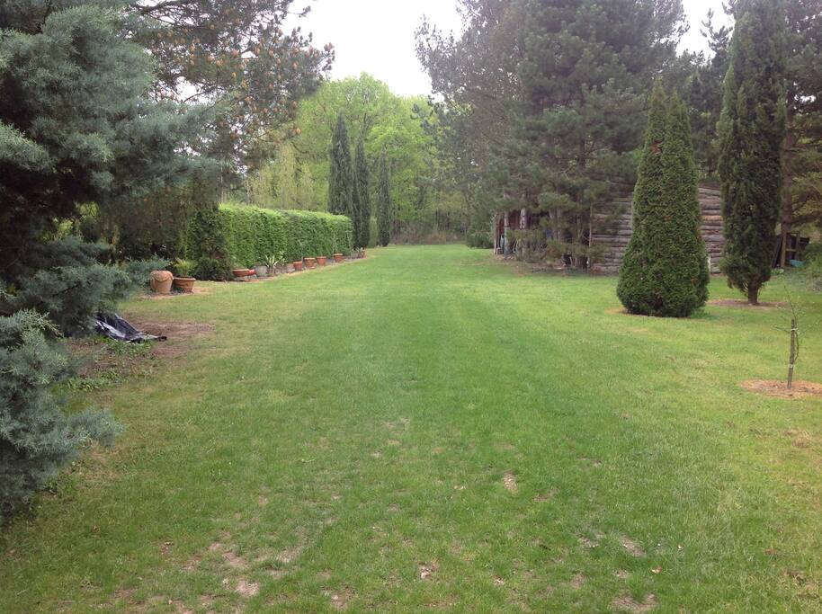 près de la piscine, le jardin