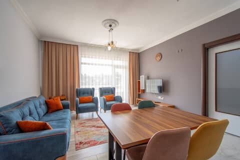 Talas Vacation Rentals Homes Kayseri Turkey Airbnb