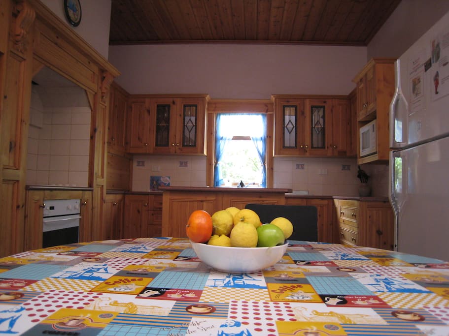 Large kitchen with all crockery, cutlery, cooking requirements and more